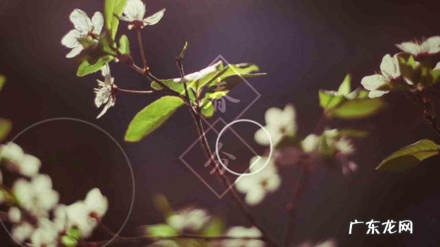 有什么关于春分的文章吗?