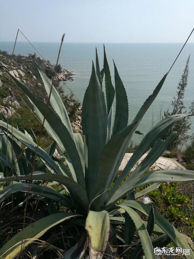 有什么关于春分的文章吗?