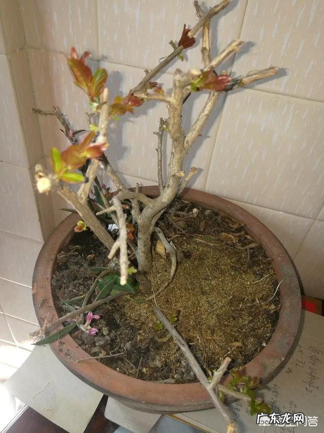 有什么关于春分的文章吗？