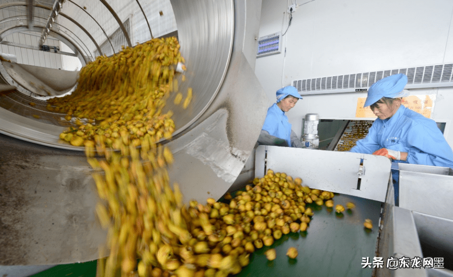 小型办厂项目 免费农村投资办厂项目
