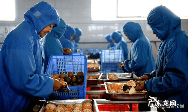 小型办厂项目 免费农村投资办厂项目