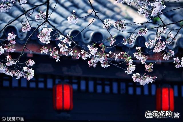 农村老人爱说“二月二要剃头”,为啥呢?今年二月二能剃头吗?