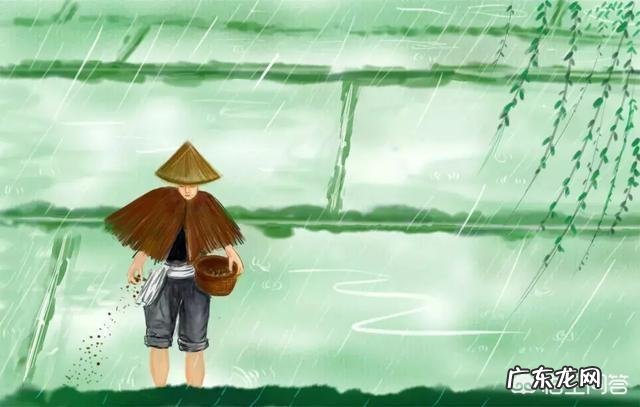 农村老人爱说“二月二要剃头”,为啥呢?今年二月二能剃头吗?