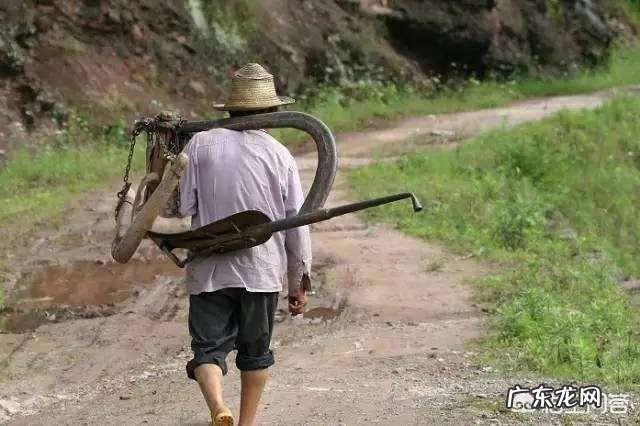 农村谚语“立夏不下,犁耙高挂”是什么意思?