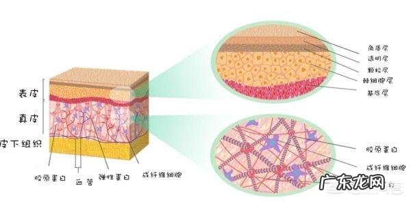 油性皮肤要怎么美白？