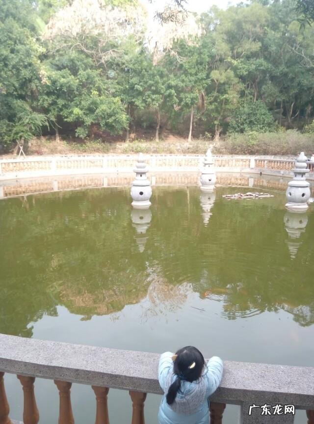 你听过哪些很有文艺气息的名字?