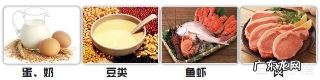 除了鸡蛋白，还有什么食物具有高蛋白质？营养价值如何？