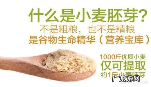 除了鸡蛋白，还有什么食物具有高蛋白质？营养价值如何？