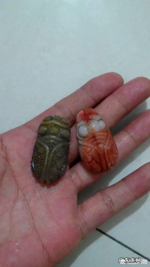 当今社会,导致学生成绩下降的罪魁祸首是手机吗?