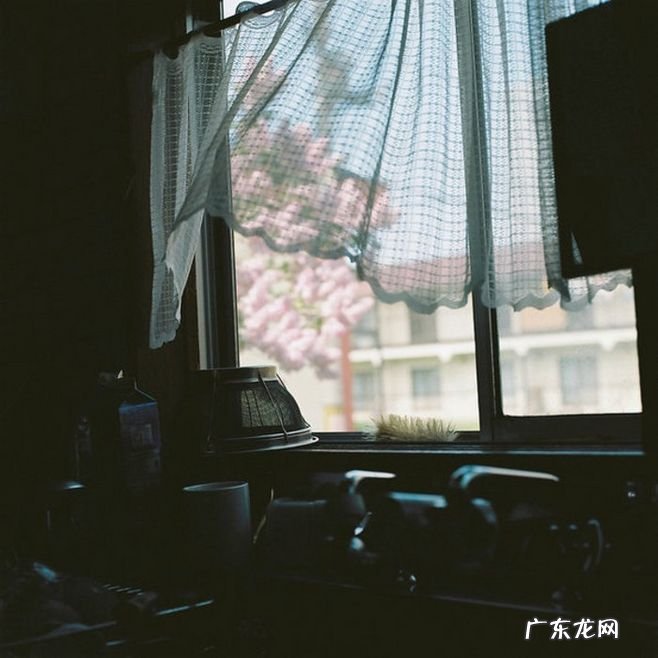 窗户东边开，健康自然来。不看不知道，一看必记牢 房子东面开门好不好