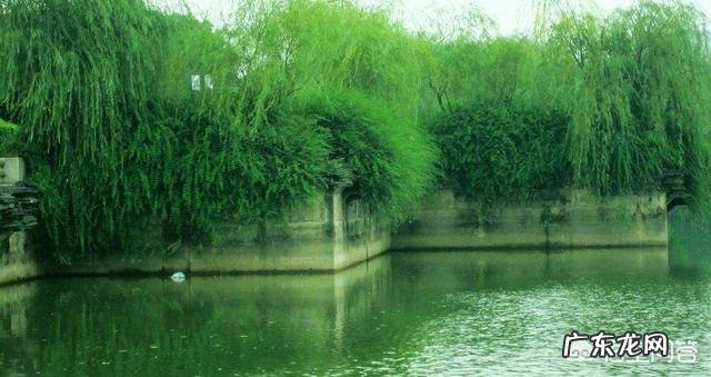 春天来了，最能形容春季的古诗词句都有哪些？