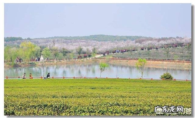 春天来了,最能形容春季的古诗词句都有哪些?