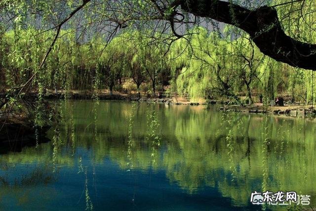 春天来了,最能形容春季的古诗词句都有哪些?