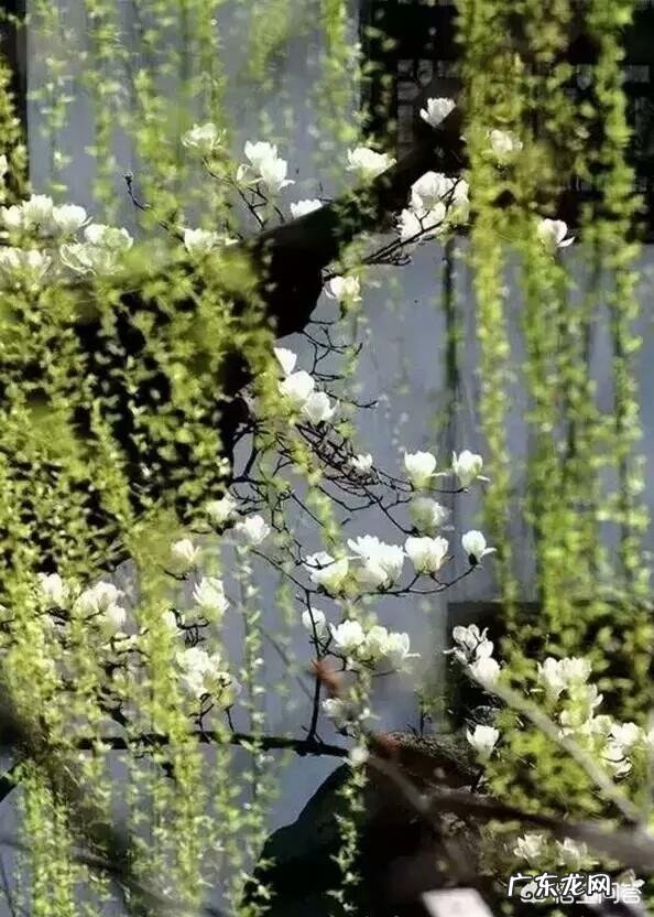 春天来了,最能形容春季的古诗词句都有哪些?