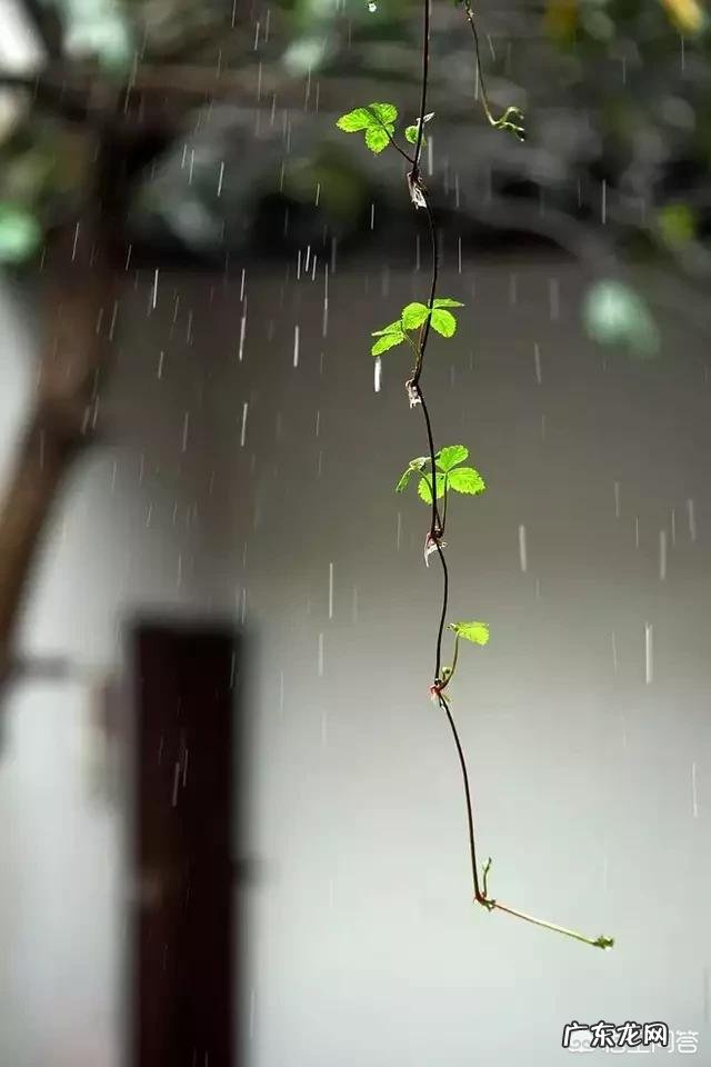 春天来了，最能形容春季的古诗词句都有哪些？