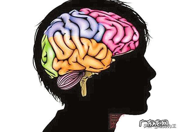 怎么样提高记忆力?