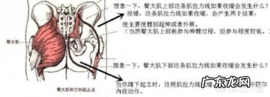 女性如何锻炼臀部肌肉?