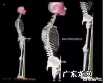 女性如何锻炼臀部肌肉?