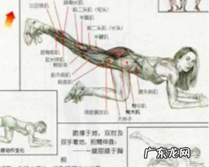 女性如何锻炼臀部肌肉?