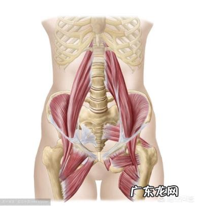 女性如何锻炼臀部肌肉?