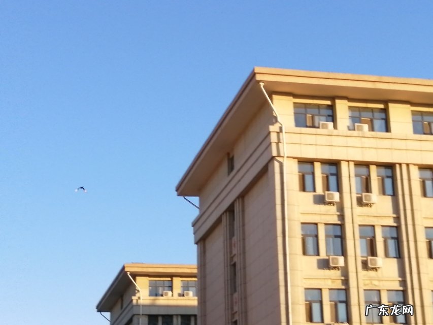 学生征文范文 学生范文