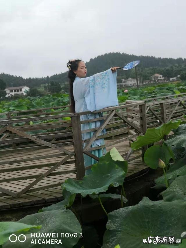 关于夏天的美文和名言诗句有哪些?