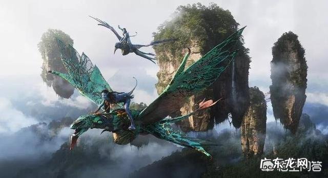 假设《复仇者联盟4》和《阿凡达2》同时上映,你会先看哪一部?