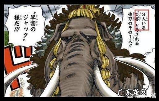 海贼王中怎样看待凯多的三灾?实力是否被高估了?