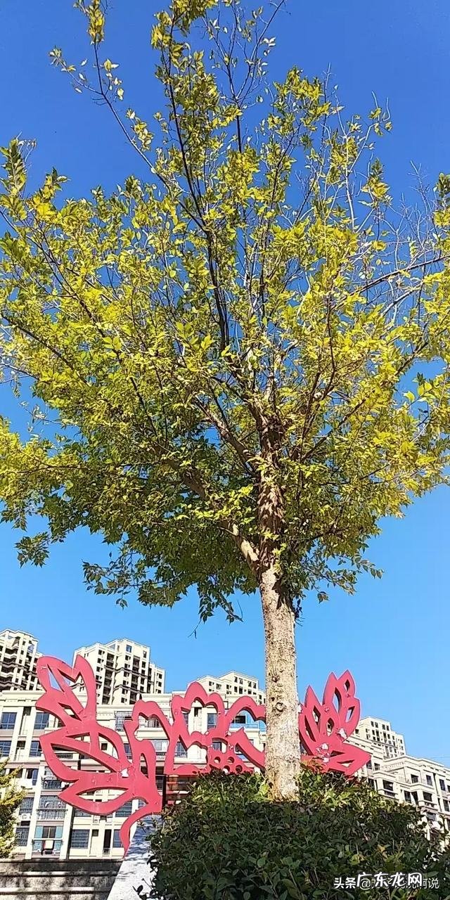 春节休息了两个月,五一为什么还要放假?