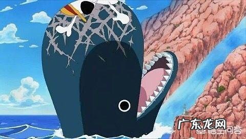 《海贼王》里有哪些让你惊叹的伏笔？