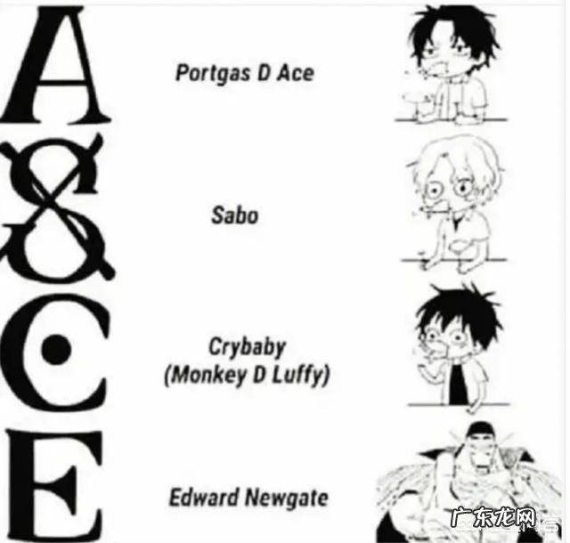 《海贼王》里有哪些让你惊叹的伏笔?