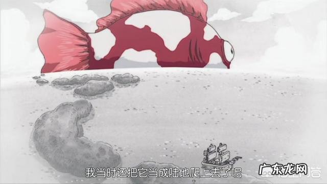 《海贼王》里有哪些让你惊叹的伏笔？