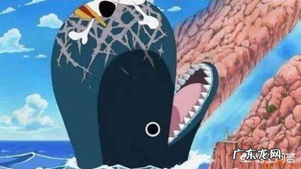 《海贼王》里有哪些让你惊叹的伏笔?