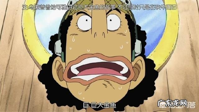 《海贼王》里有哪些让你惊叹的伏笔？