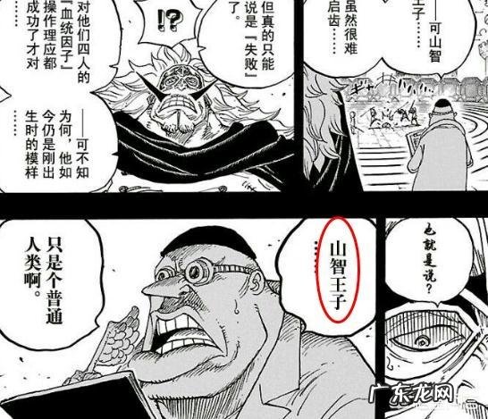 《海贼王》里有哪些让你惊叹的伏笔?