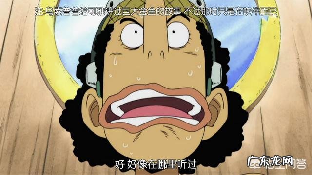 《海贼王》里有哪些让你惊叹的伏笔？