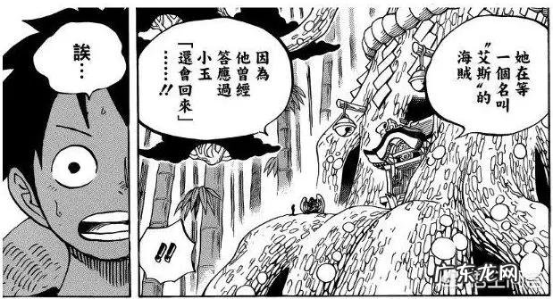 《海贼王》里有哪些让你惊叹的伏笔?