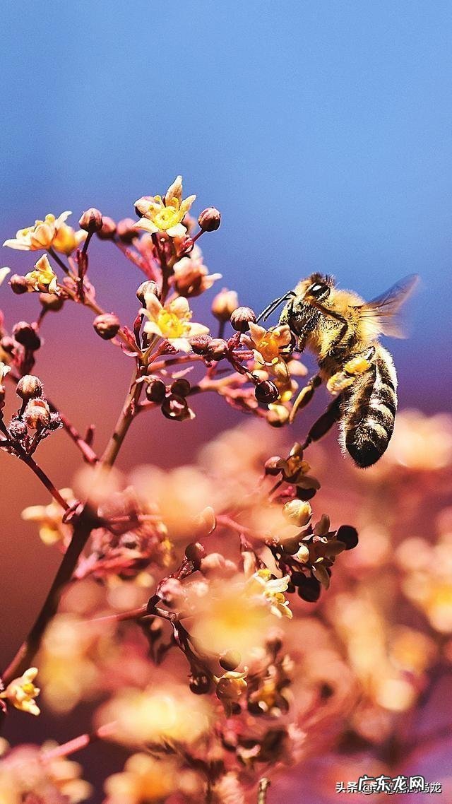 哪些是形容感情好的经典句子?