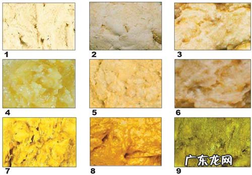 宝宝大便图解 宝宝大便