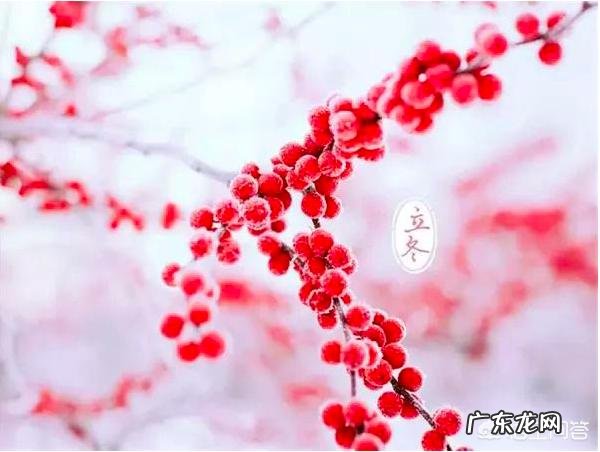 立冬到了,农村老谚语“立冬晴,一冬凌”是啥意思?今年是冷冬吗?