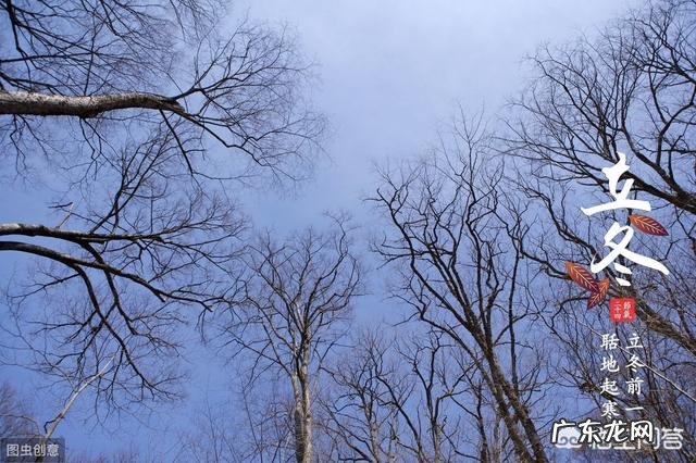 立冬到了,农村老谚语“立冬晴,一冬凌”是啥意思?今年是冷冬吗?
