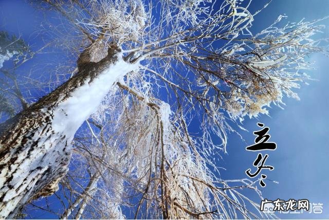 立冬到了,农村老谚语“立冬晴,一冬凌”是啥意思?今年是冷冬吗?