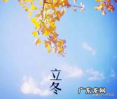 立冬到了,农村老谚语“立冬晴,一冬凌”是啥意思?今年是冷冬吗?