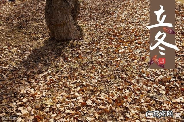 立冬到了,农村老谚语“立冬晴,一冬凌”是啥意思?今年是冷冬吗?