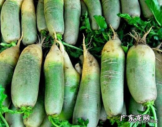 立冬到了,农村老谚语“立冬晴,一冬凌”是啥意思?今年是冷冬吗?