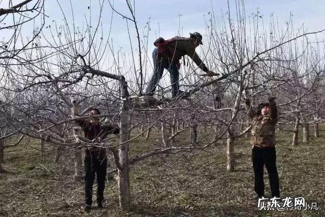 立冬到了,农村老谚语“立冬晴,一冬凌”是啥意思?今年是冷冬吗?