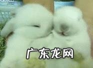 男友说:你别要求我,我也不要求你,这是什么心理?