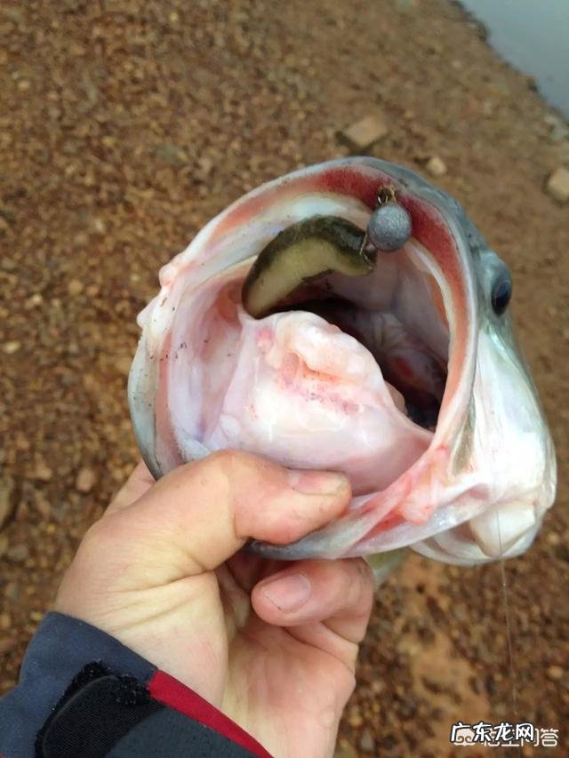 有什么好的自制钓鱼诱饵?