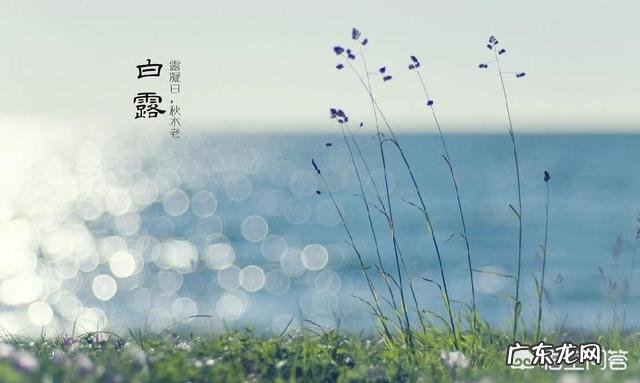 明天就是24节气的白露,白露有雨连秋分,秋分有雨收成好,代表啥意思?