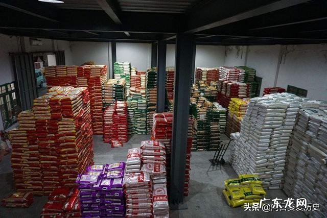 新冠肺炎在美国猖獗,为何政客精英们大多安然无恙?